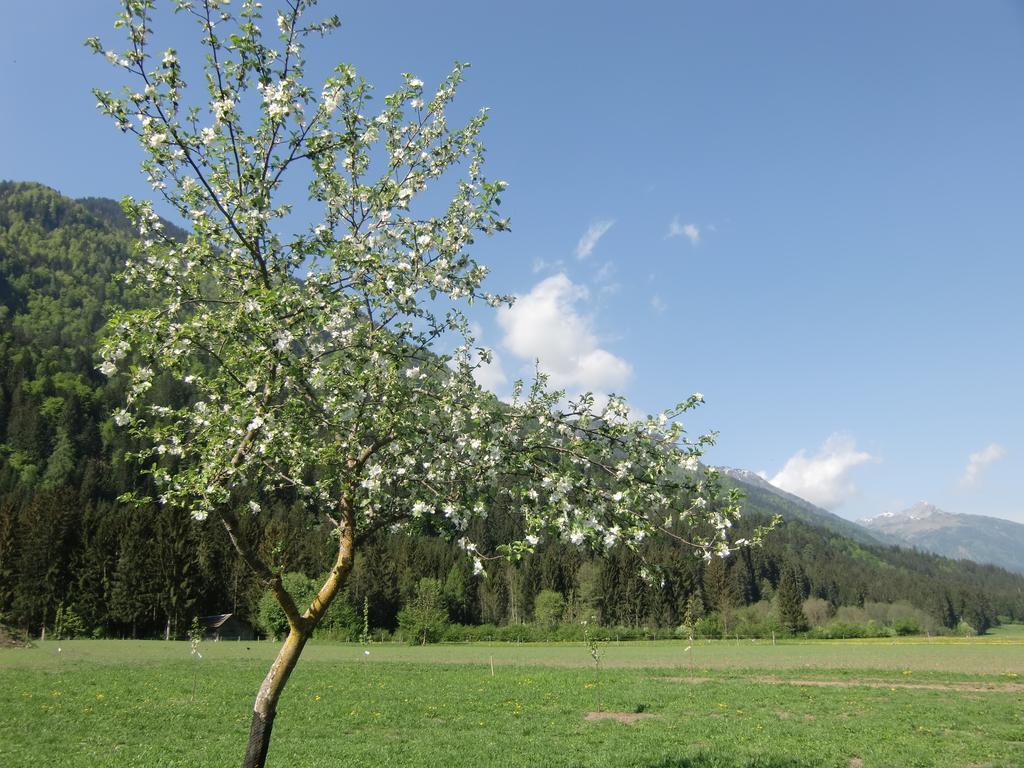 Ferienhof Sturm Dellach  Buitenkant foto